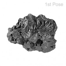 Rare Saturn Meteorite-O-MET009