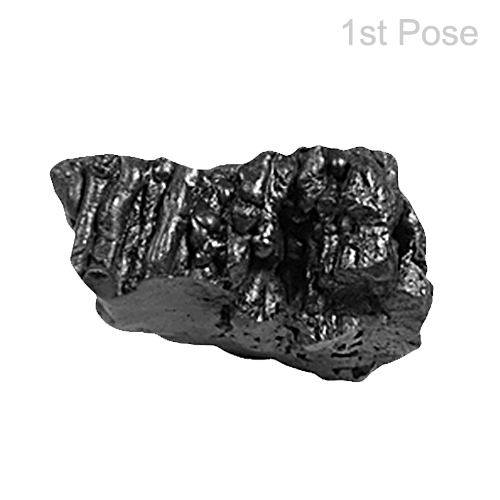 Rarest Meteorite-O-MET014